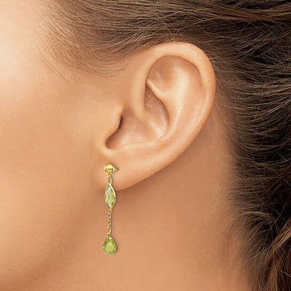 Gemstone Dangle Earrings